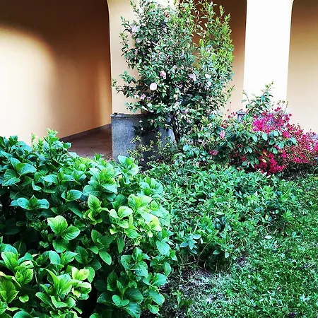 Fontana